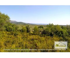 Finca rustica en Venta en San Mateo, Castellón