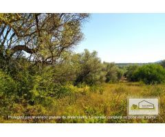 Finca rustica en Venta en San Mateo, Castellón