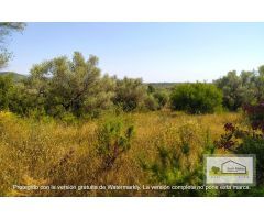 Finca rustica en Venta en San Mateo, Castellón