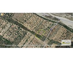 Finca rustica en Venta en San Mateo, Castellón