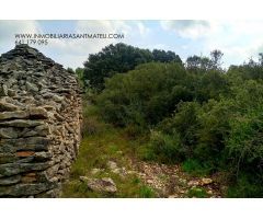 Finca rustica en Venta en Tirig, Castellón