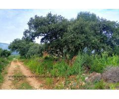 Finca rustica en Venta en Tirig, Castellón