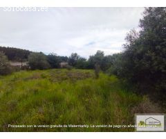 Finca rustica en Venta en San Mateo, Castellón