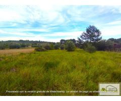 Finca rustica en Venta en San Mateo, Castellón