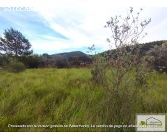 Finca rustica en Venta en San Mateo, Castellón