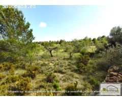 Finca rustica en Venta en San Mateo, Castellón