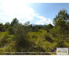 Finca rustica en Venta en San Mateo, Castellón