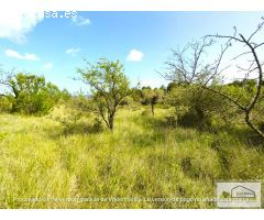 Finca rustica en Venta en San Mateo, Castellón