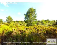Finca rustica en Venta en San Mateo, Castellón