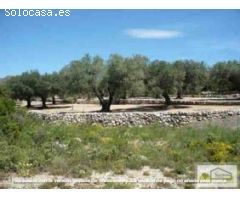 Finca rustica en Venta en Canet lo Roig, Castellón