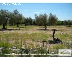 Finca rustica en Venta en Canet lo Roig, Castellón