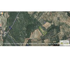 Finca rustica en Venta en Canet lo Roig, Castellón