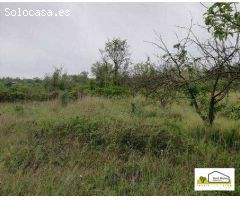 Finca rustica en Venta en Albocàsser, Castellón
