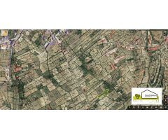 Finca rustica en Venta en Albocàsser, Castellón