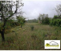 Finca rustica en Venta en Albocàsser, Castellón