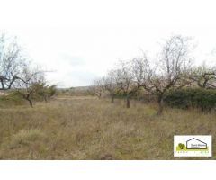 Finca rustica en Venta en Albocàsser, Castellón