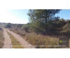 Finca rustica en Venta en San Mateo, Castellón