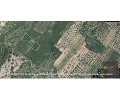Finca rustica en Venta en Tirig, Castellón