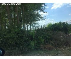 FINCA RUSTICA NACIONAL 120