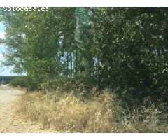 FINCA RUSTICA NACIONAL 120