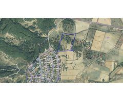 TERRENO RUSTICO EN LAS LOMAS- PRECIO A CONSULTAR