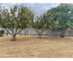 FINCA DE RECREO CON PISCINA EN CARRACEDELO