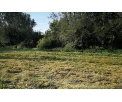 SUELO URBANO  RESIDENCIAL EN LEON
