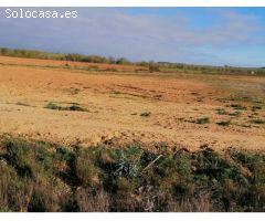 Suelo Urbano Industrial en Polígono INDUSTRIAL VILLAHIERRO Mansilla de las Mulas (León)