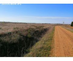 Suelo Urbano Industrial en Polígono INDUSTRIAL VILLAHIERRO Mansilla de las Mulas (León)