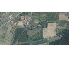 FINCA RUSTICA EN LA CARRETERA DE CACABELOS ARGANZA