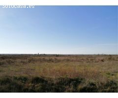 Suelo urbano industrial en P. INDUSTRIAL VILLAHIERRO- MANSILLA DE LAS MULAS. PRECIO A CONSULTAR