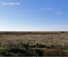 Suelo urbano industrial en P. INDUSTRIAL VILLAHIERRO- MANSILLA DE LAS MULAS. PRECIO A CONSULTAR