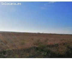 Suelo urbano industrial en P. INDUSTRIAL VILLAHIERRO- MANSILLA DE LAS MULAS. PRECIO A CONSULTAR