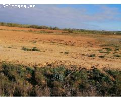 Suelo urbano industrial en P. INDUSTRIAL VILLAHIERRO- MANSILLA DE LAS MULAS. PRECIO A CONSULTAR