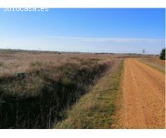 Suelo urbano industrial en P. INDUSTRIAL VILLAHIERRO- MANSILLA DE LAS MULAS. PRECIO A CONSULTAR