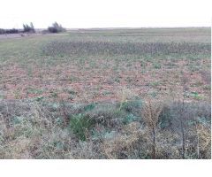 Suelo urbano industrial en P. INDUSTRIAL VILLAHIERRO- MANSILLA DE LAS MULAS. PRECIO A CONSULTAR