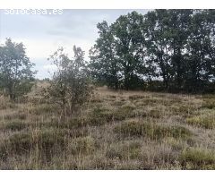 TERRENO URBANO EN GARRAFE DEL TORIO- PRECIO A CONSULTAR