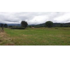 Terreno rural en Venta en Mazcuerras, Cantabria