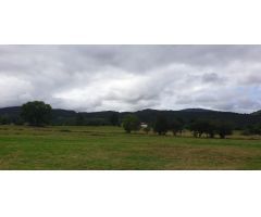 Terreno rural en Venta en Mazcuerras, Cantabria