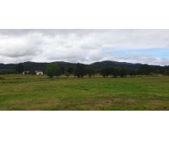 Terreno rural en Venta en Mazcuerras, Cantabria