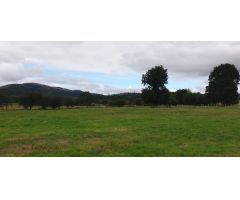 Terreno rural en Venta en Mazcuerras, Cantabria