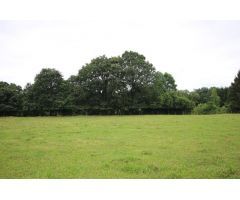 Terreno urbano en Venta en Mazcuerras, Cantabria