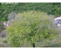 Casa en San Pedro de Montes