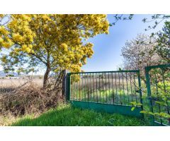 FINCA DE 18.270 M2 EN CACABELOS