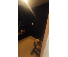 Alquiler Local comercial