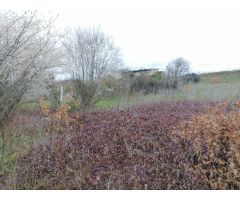 SE VENDE TERRENO RUSTICO CON POZO Y EDIFICACION EN FUENTESNUEVAS