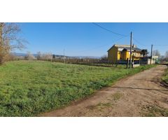Finca Rustica