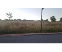PARCELA URBANIZADA