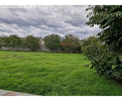 Casa con terreno