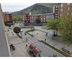 Apartamento Flores del sil